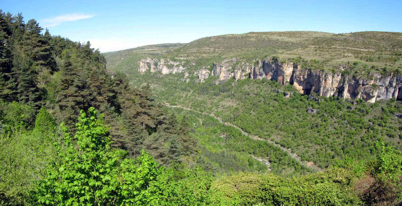 Valle de la Jonte depuis Dargilan.jpg (172942 bytes)